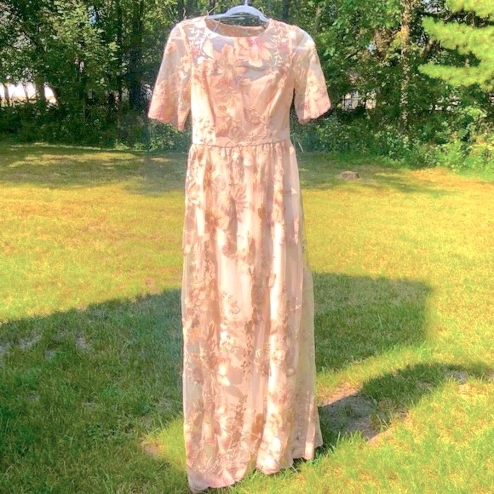 ADRIANNA PAPELL ROSE QUART LONG ILLUSION MESH DRESS 8 NWT